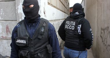 Stire din Eveniment : Condamnat pentru una dintre cele mai mari culturi de cannabis găsite în Constanța
