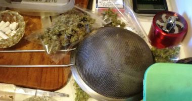 Cultură de cannabis, în interiorul unui apartament. "Grădinarul", arestat preventiv - 2