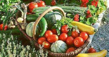 Stire din Economie : Cum a evoluat producția agricolă în 2014