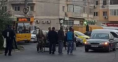Cum a fost pedepsit căruțașul beat care a provocat un accident și apoi și-a bătut calul - 2