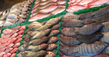 Stire din Diverse : Carnea de pui, vită și peștele - cum să le alegi