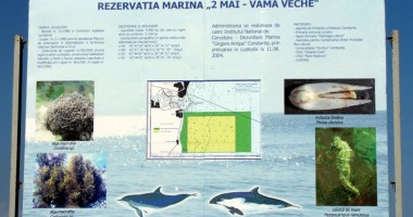 Stire din Social : Cum este protejată Rezervația Marină Vama Veche - 2 Mai
