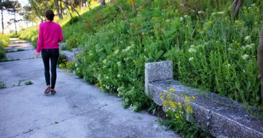 Galerie FOTO. Dezastrul din sudul litoralului! Olimp, stațiunea bălăriilor și a maidanezilor - 4