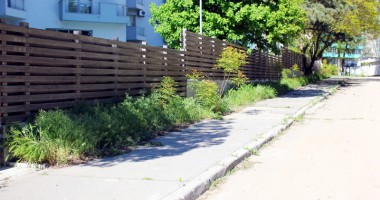 Galerie FOTO. Dezastrul din sudul litoralului! Olimp, stațiunea bălăriilor și a maidanezilor - 9