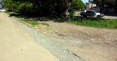 Galerie FOTO. Dezastrul din sudul litoralului! Olimp, stațiunea bălăriilor și a maidanezilor - 11