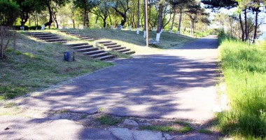 Galerie FOTO. Dezastrul din sudul litoralului! Olimp, stațiunea bălăriilor și a maidanezilor - 13
