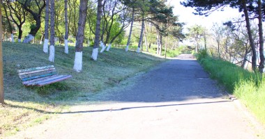 Galerie FOTO. Dezastrul din sudul litoralului! Olimp, stațiunea bălăriilor și a maidanezilor - 14