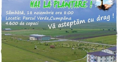 Stire din Politică-Administrație : Acțiune de plantare, inițiată de Primăria Cumpăna