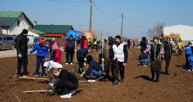 Aproape toată suflarea comunei Cumpăna a venit să planteze un copăcel pentru un viitor mai verde - 2