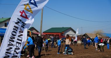 Aproape toată suflarea comunei Cumpăna a venit să planteze un copăcel pentru un viitor mai verde - 3