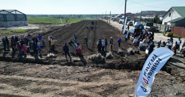 Aproape toată suflarea comunei Cumpăna a venit să planteze un copăcel pentru un viitor mai verde - 4