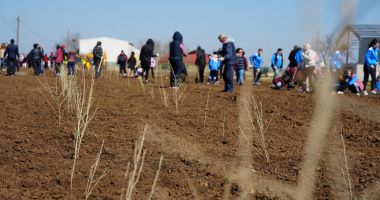 Aproape toată suflarea comunei Cumpăna a venit să planteze un copăcel pentru un viitor mai verde - 5