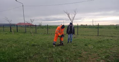 Stire din Politică-Administrație : Administrația locală din Cumpăna continuă dezvoltarea proiectului Parcul Verde