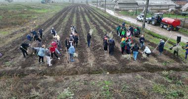 Plantează în România. Comuna Cumpăna continuă tradiția ecologică - 2