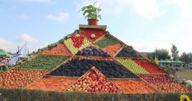 Primăria Cumpăna, un nou record ! Plăcintă de 40 de metri la "Ziua Recoltei" - 3