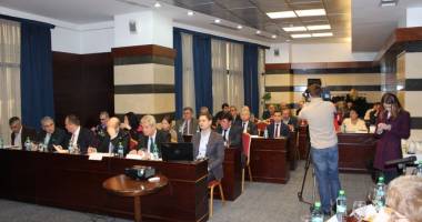 Mariana Gâju, prezentă la seminarul de afaceri "Romanian Investment Zoom" - 3