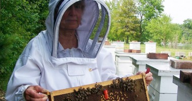 Stire din Social : Cum poți să devii din șomer, antreprenor de succes