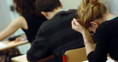 Stire din Cultură-Educație : Bacalaureatul din 2013 ar putea fi diferențiat. Andronescu propune și un bacalaureat profesional