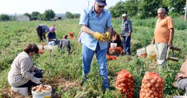 Stire din Economie : Cum se face  noua cooperativizare  a agriculturii