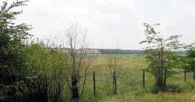 Stire din Cetățenești : Cum se scoate un teren din circuitul agricol