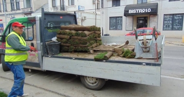 Gazon nou în parcul de la Gară - 7