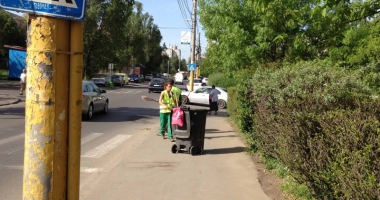 "Curățăm Constanța noastră". Plantări de copaci în parcul de la Gară și în parcul Tăbăcărie - 4