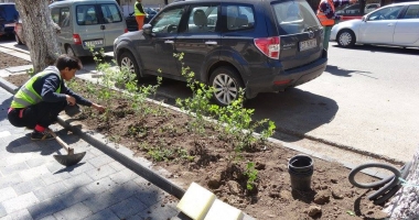 Stire din Social : Primăria Constanța continuă campania "Curățăm Constanța noastră!"
