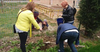 Stire din Social : "Curățăm Constanța noastră". Unde se plantează copaci