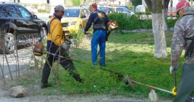 Stire din Social : "Curățăm Constanța noastră"! Începe curățenia în zona City Park și în stațiunea Mamaia