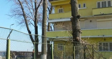 "Curățăm Constanța noastră!". Plantări  de copaci, astăzi,  în Parcul Tăbăcărie - 2