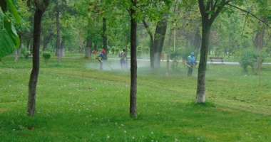 Se lucrează la foc continuu în parcurile și cartierele din Constanța - 3