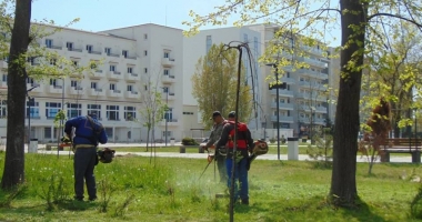 "Curățăm Constanța noastră". Plantări de copaci în parcul de la Gară și în parcul Tăbăcărie - 2