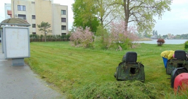 "Curățăm Constanța noastră". Arborii din cartierele Tomis II și Tomis III, tăiați și toaletați - 2