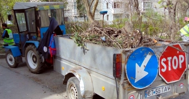Stire din Social : "Curățăm Constanța noastră". Încep plantările de gazon și copaci