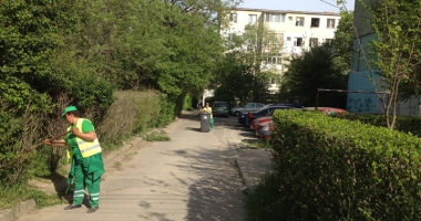 "Curățăm Constanța noastră". Plantări de copaci în parcul de la Gară și în parcul Tăbăcărie - 3