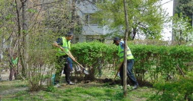 "Curățăm Constanța noastră". Au început lucrările la spațiile verzi din Satul de Vacanță - 5