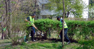 "Curățăm Constanța noastră". Încep plantările de gazon și copaci - 2