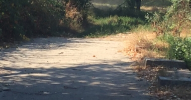 Au făcut curățenie la fostul complex sportiv din "Badea Cârțan" - 4