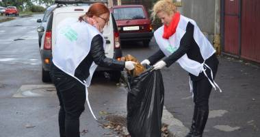 Grupul Local Dobrogea Nord a făcut curățenie în cartierul Faleză Nord și în Parcul Tăbăcărie - 2