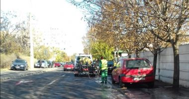 Stire din Social : Curăţenie generală, la Constanţa. Ce cartiere sunt vizate, săptămâna aceasta
