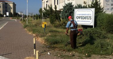 Curățenie în curțile unităților școlare. Când vor fi gata lucrările - 3