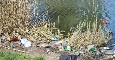 Stire din Social : Apel către voluntari: se face curățenie pe lacul Tăbăcărie!