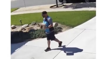 VIDEO. Momentul în care un curier copleșit de caniculă se aruncă, îmbrăcat, în piscina unui client