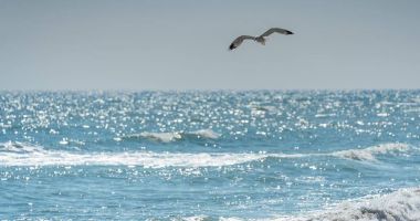 Stire din Actualitate : 31 octombrie - Ziua internațională a Mării Negre