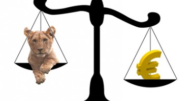 Curs BNR: 4,4496 lei/euro