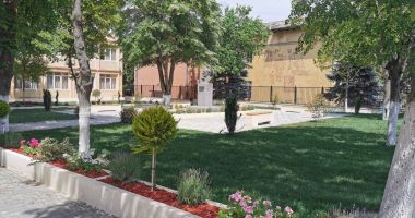 Curtea Școlii Gimnaziale "Lucian Grigorescu" din Medgidia, o adevărată grădină botanică - 2