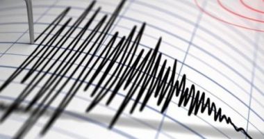 Un cutremur cu magnitudinea 3,7 pe Richter, în județul Buzău