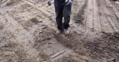 Stire din Actualitate : VIDEO / PĂMÂNTUL CA O GELATINĂ. Efectul ȘOCANT al unui CUTREMUR DEVASTATOR