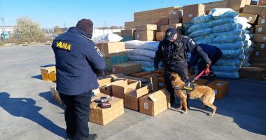 Produse accizabile introduse în țara prin folosirea de acte nereale depistate in portul Constanța Sud Agigea - 3