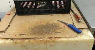 Galerie FOTO-VIDEO. Imagini șocante dintr-o măcelărie din Piața Tomis III Constanța. Ce mizerii primeau clienții în loc de carne - 2